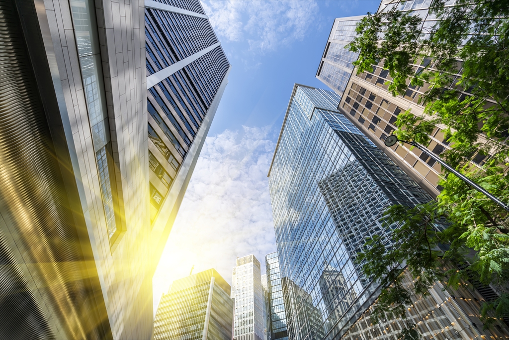 新たにホームページを開設いたしました。